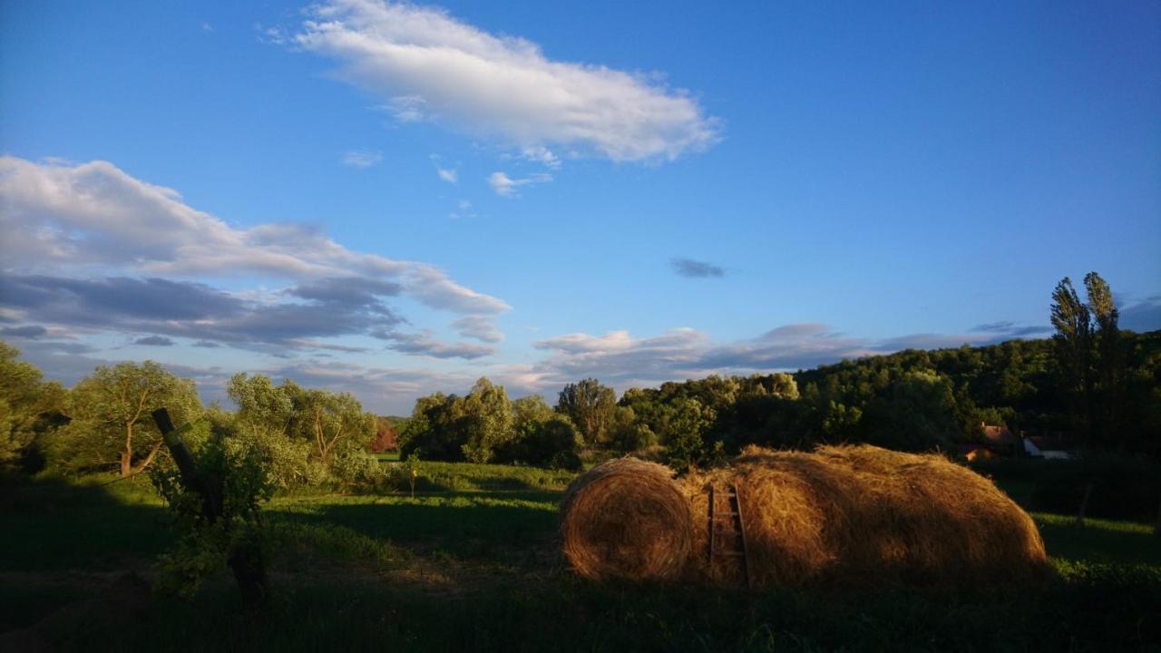 Szellosreti Vendeglak Balvanyos エクステリア 写真